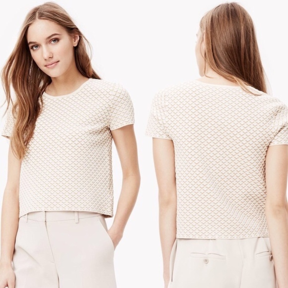 THEORY Runway Ferson, Glossed Top, Size P